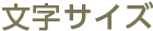 文字サイズ