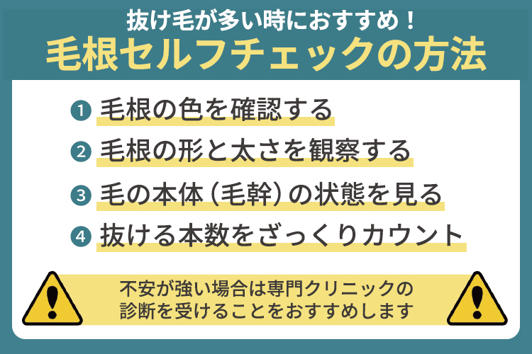 抜け毛が多い時におすすめ！毛根セルフチェックの方法