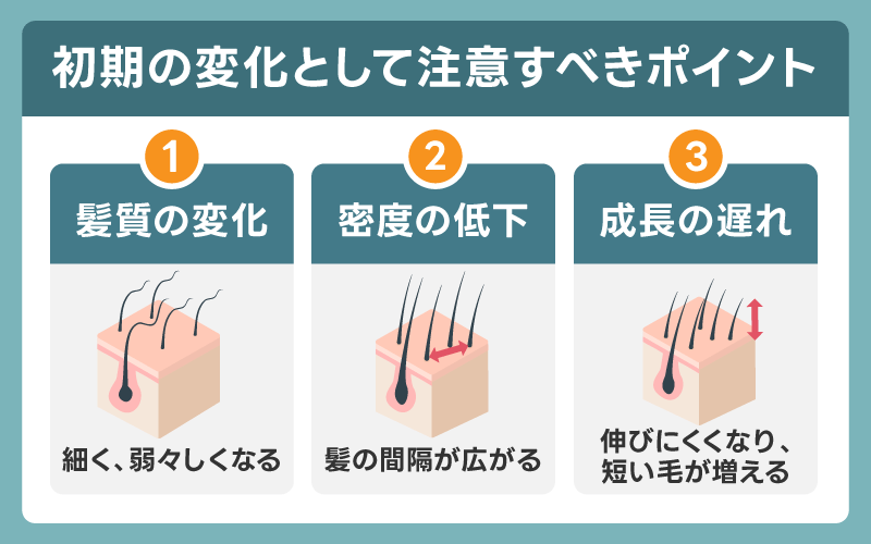 生え際の後退や毛が細くなる変化