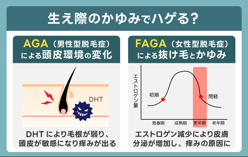 生え際のかゆみでハゲる?抜け毛との関係をチェック