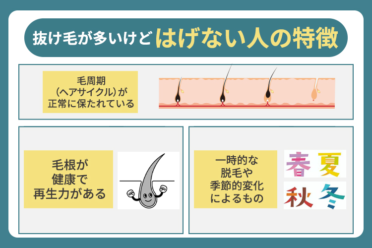 抜け毛が多いけどはげない人の特徴