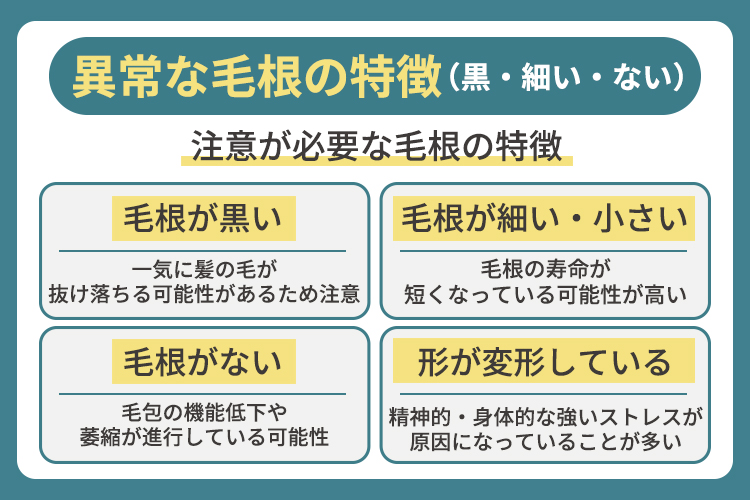 異常な毛根の特徴（黒・細い・ない）