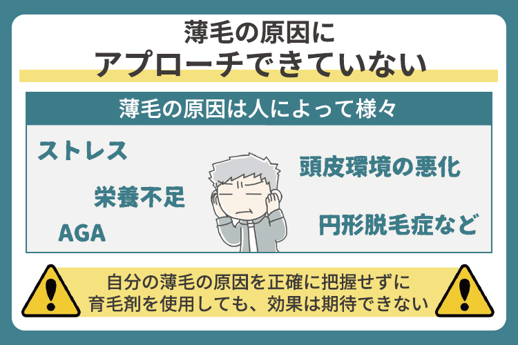 薄毛の原因にアプローチできていない