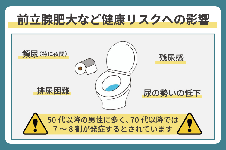 前立腺肥大など健康リスクへの影響