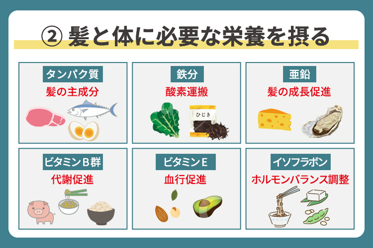 髪と体に必要な栄養を摂る