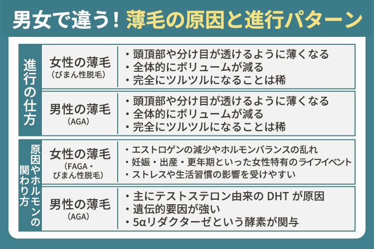 男女で違う！薄毛の原因と進行パターン