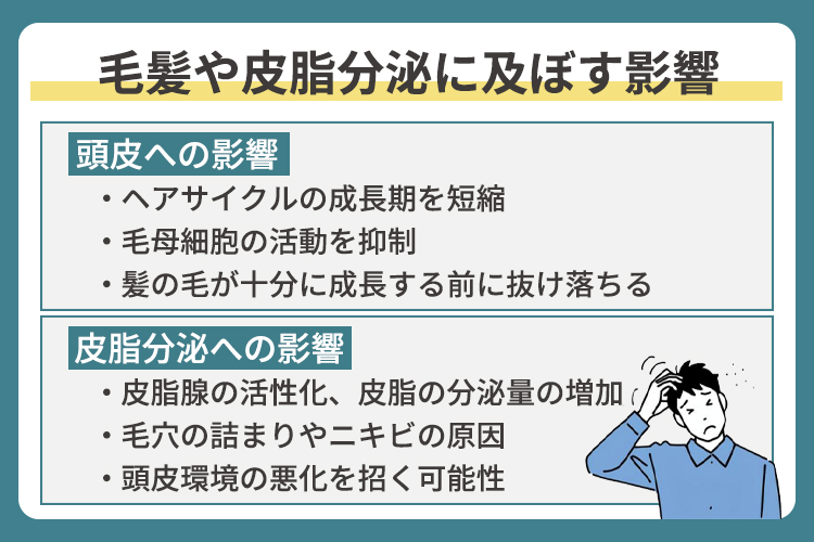 毛髪や皮脂分泌に及ぼす影響