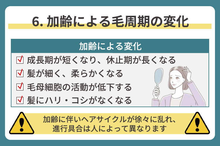加齢による毛周期の変化