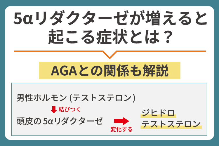 5αリダクターゼが増えると起こる症状とは？AGAとの関係も解説