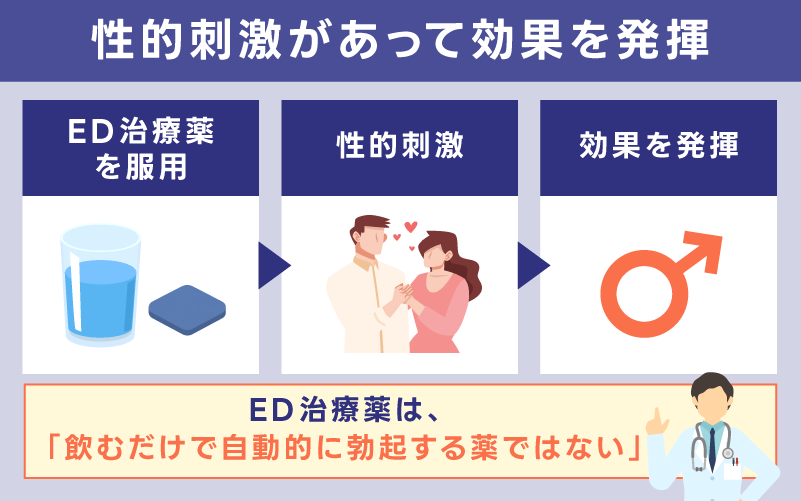 ED治療薬は性的刺激があって効果を発揮