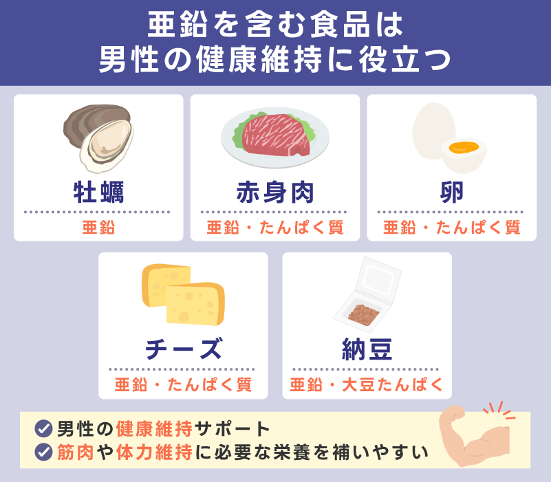 亜鉛を含む食品は男性の健康維持に役立つ