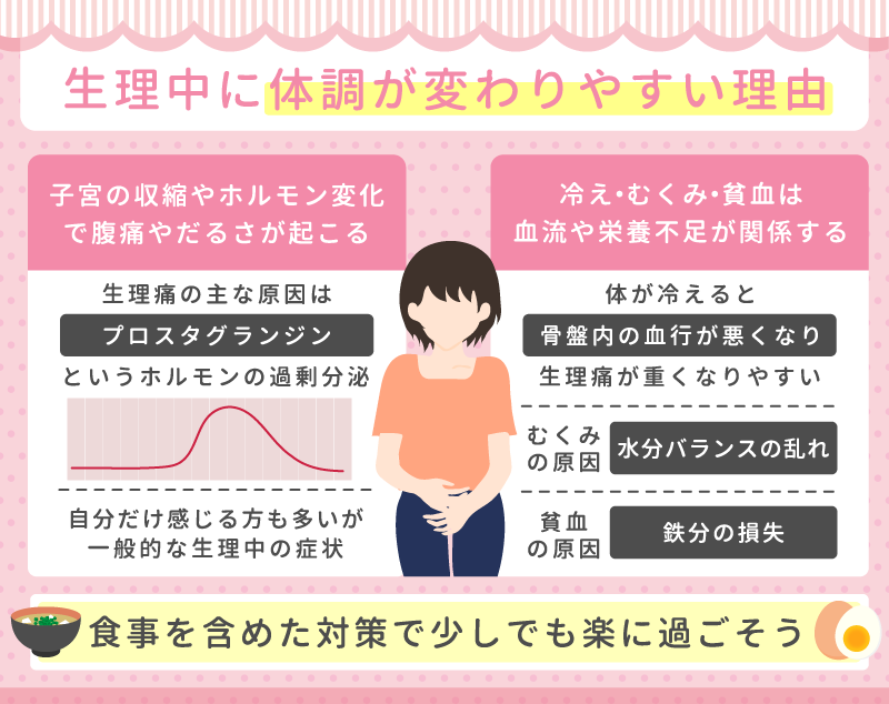 生理中に体調が変わりやすい理由