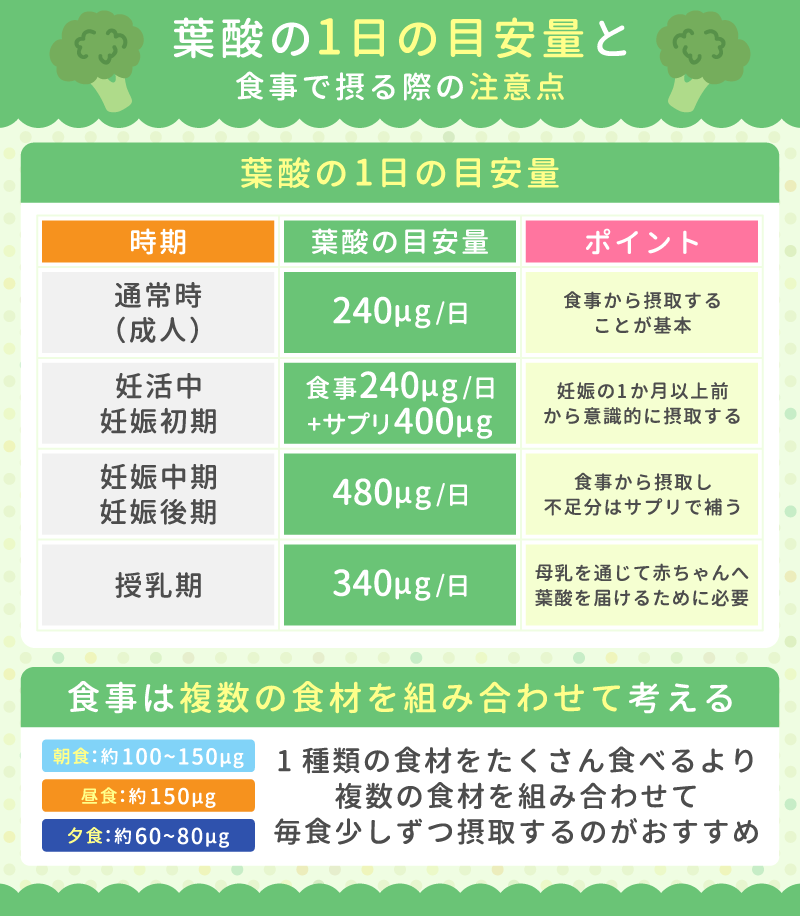 葉酸の1日の目安量と食事で摂る際の注意点