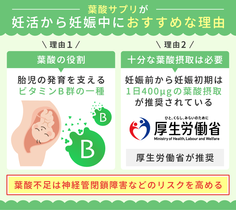 葉酸サプリが妊活から妊娠中におすすめな理由