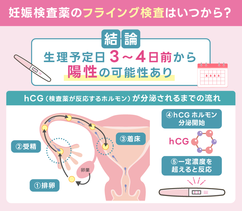【結論】フライングは生理予定日3〜4日前から陽性の可能性あり