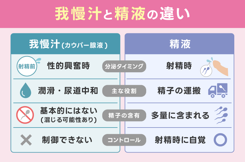 我慢汁と精液の違い
