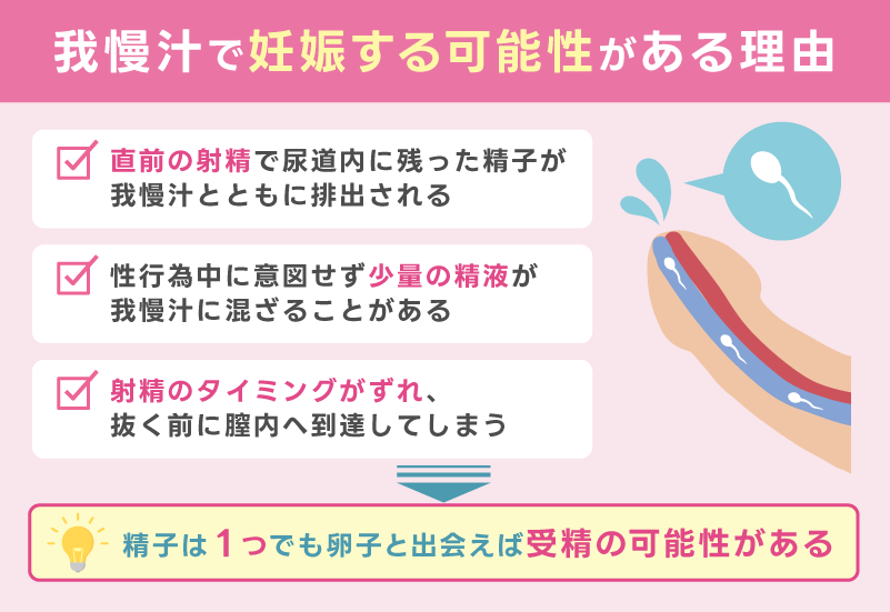 我慢汁で妊娠する可能性がある理由