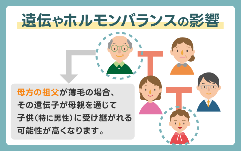 遺伝やホルモンバランスの影響