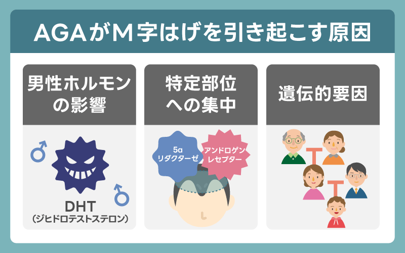 遺伝やAGAの影響