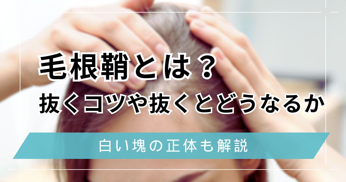 毛根鞘（もうこんしょう）とは？抜くコツや抜くとどうなるか白い塊の正体も解説