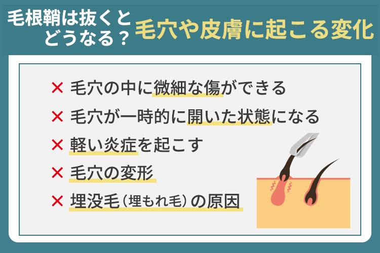 毛根鞘は抜くとどうなる？毛穴や皮膚に起こる変化