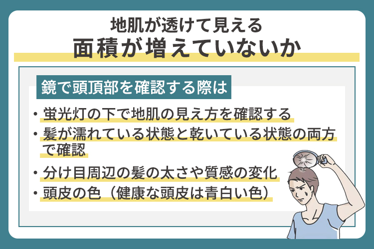 地肌が透けて見える面積が増えていないか