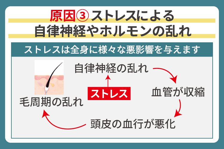 原因③ ストレスによる自律神経やホルモンの乱れ