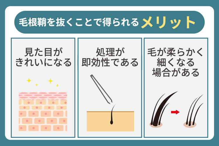 毛根鞘を抜くことで得られるメリット