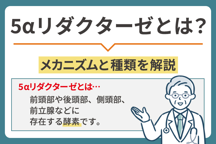 5αリダクターゼとは？メカニズムと種類を解説