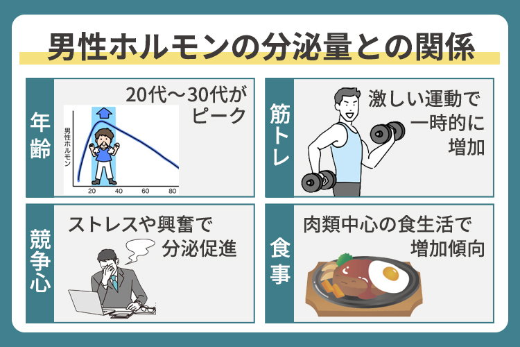 男性ホルモンの分泌量との関係