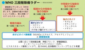 オピオイドと女性の性機能